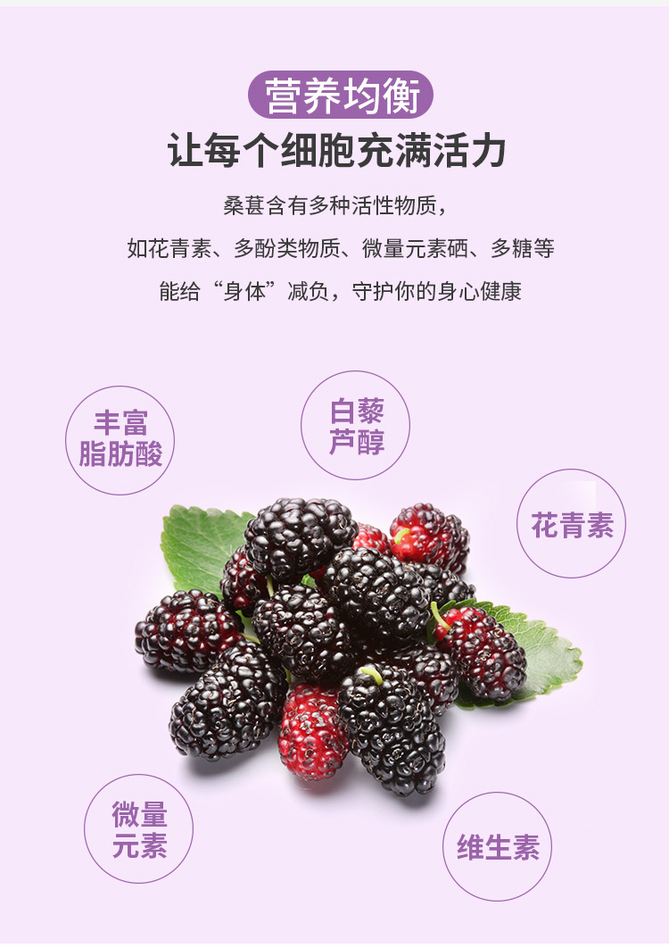 桑葚酵素详情_03.jpg