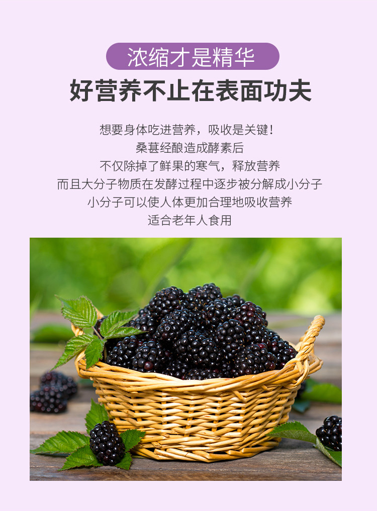 桑葚酵素详情_08.jpg