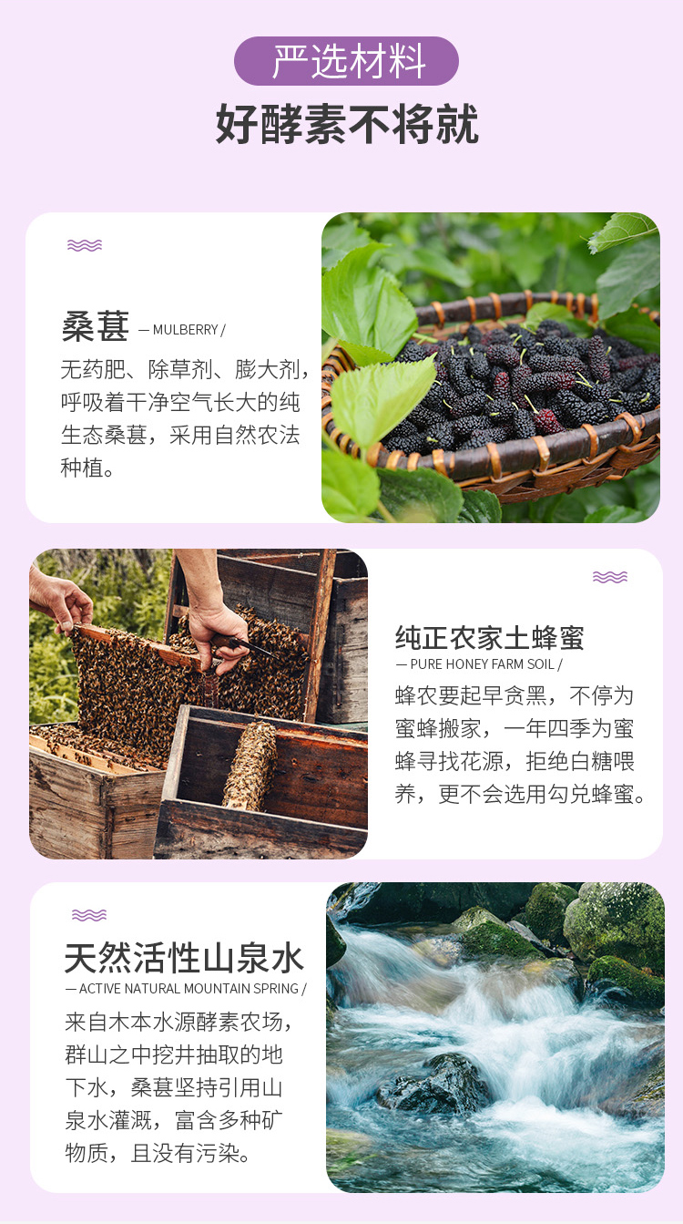 桑葚酵素详情_10.jpg