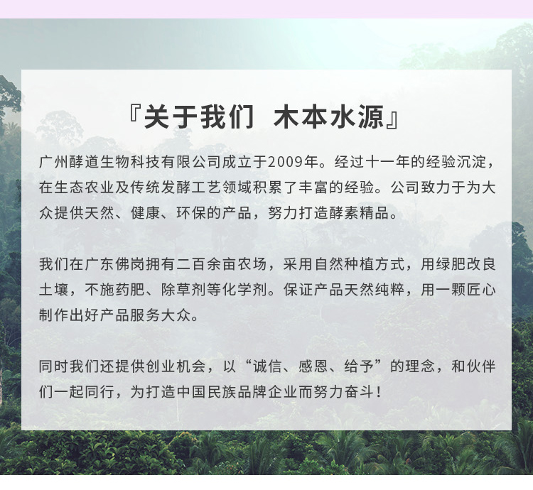 桑葚酵素详情_16.jpg